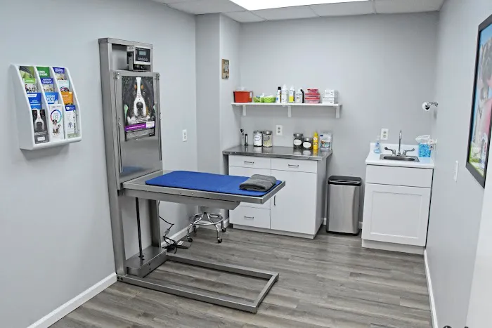 Knoxville Veterinary Knoxville Il 3