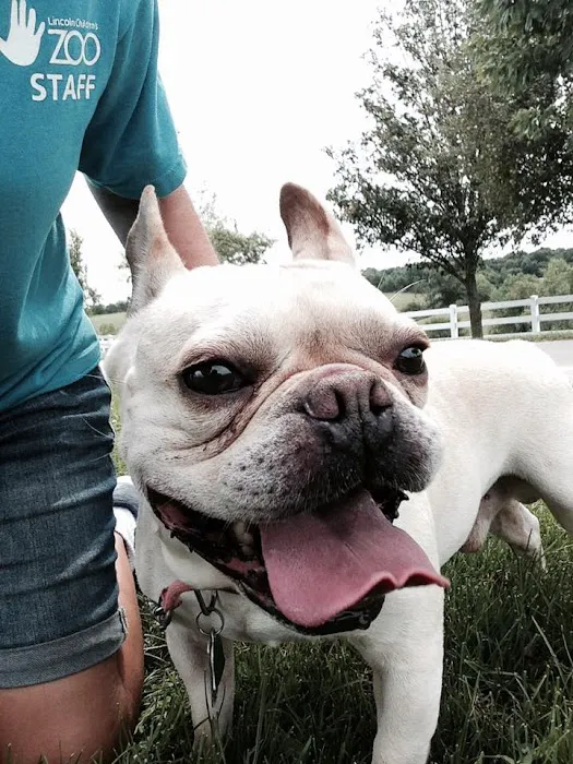Animal Health Center of Oskaloosa 4