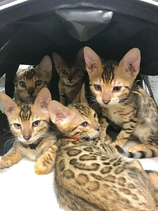 Animal Health Center of Oskaloosa 6
