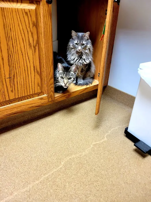 Oskaloosa Small Animal Veterinary Clinic 1