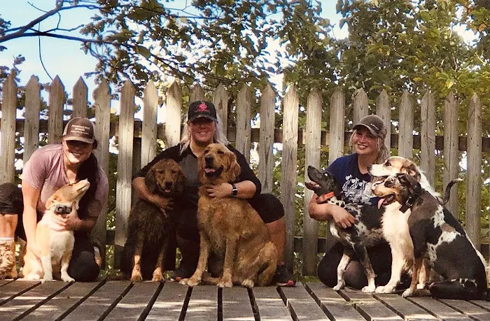 Oskaloosa Small Animal Veterinary Clinic 9