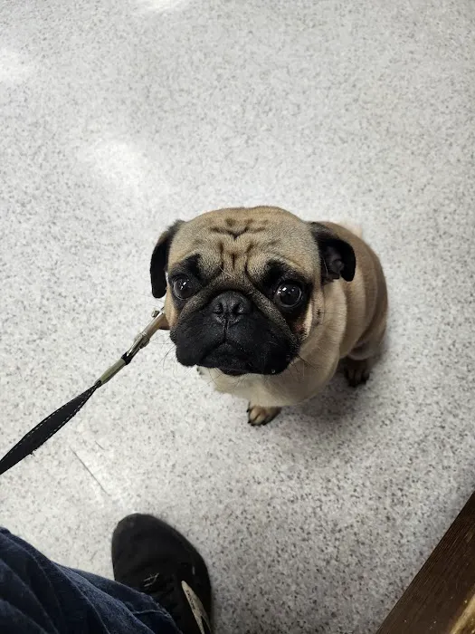 Mahaska Veterinary Clinic 5