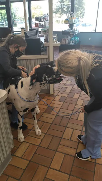 Ankeny Animal & Avian Clinic 2