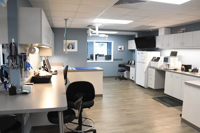 Ankeny Animal & Avian Clinic 1