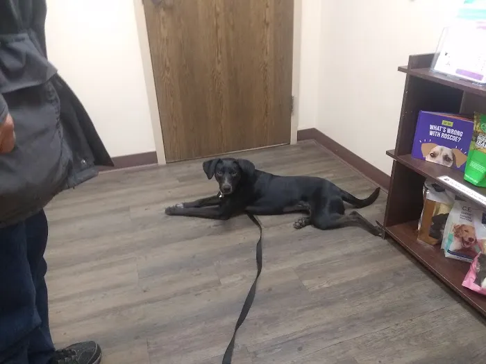 Heart of Ankeny Animal Hospital 3