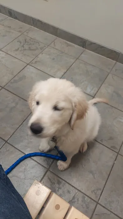 Ankeny Veterinary Clinic 1