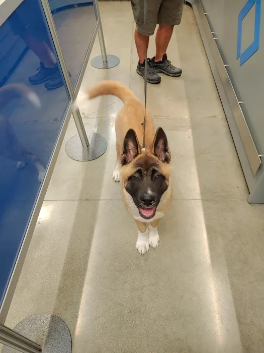 Healing Paws Veterinary Clinic 2