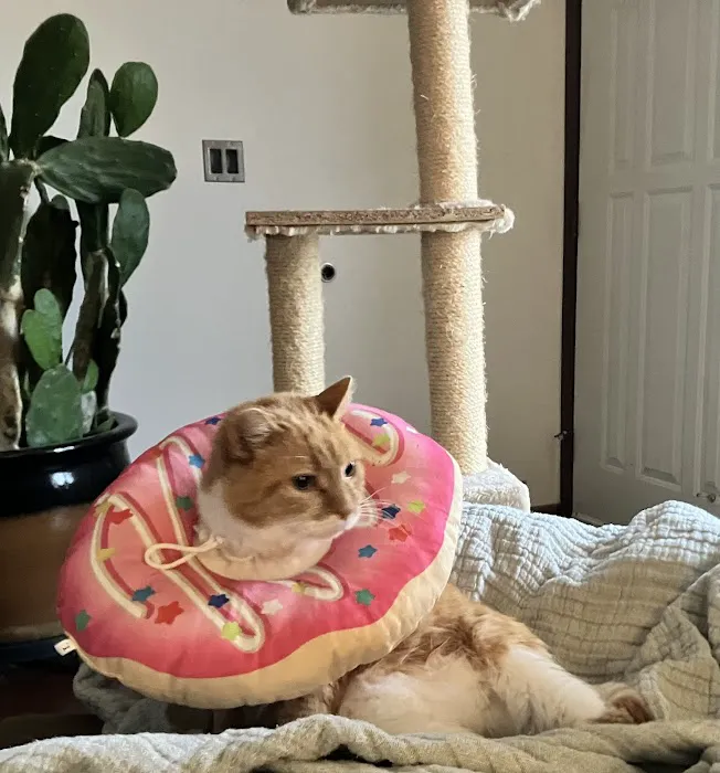 Healing Paws Veterinary Clinic 1