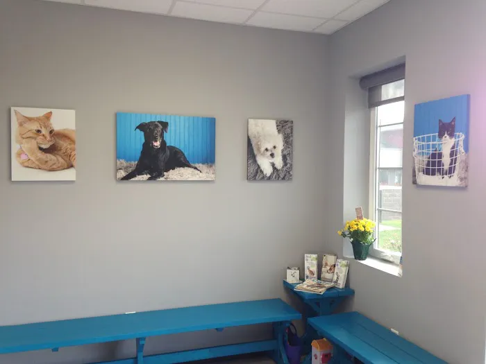 Healing Paws Veterinary Clinic 6