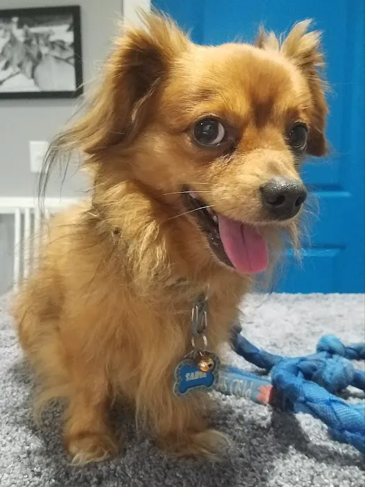 Healing Paws Veterinary Clinic 3