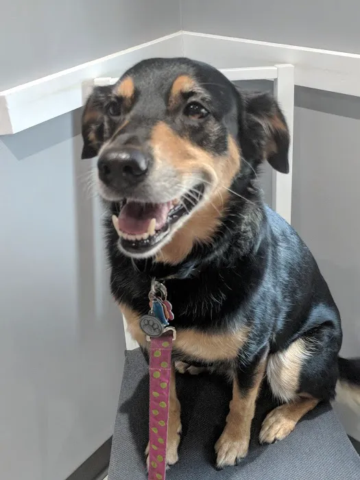 Healing Paws Veterinary Clinic 5