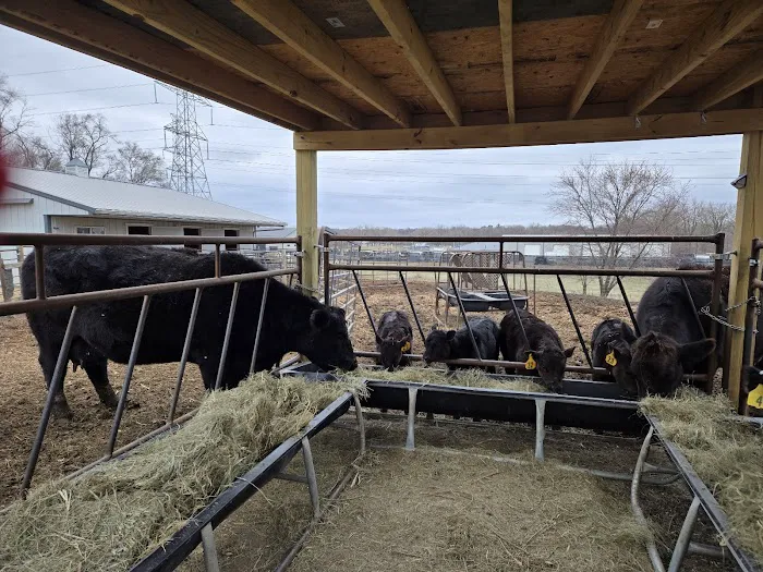 Midland Prairie Veterinary Services 7