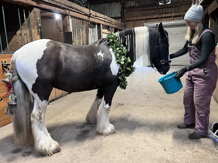 Iowa Equine 2