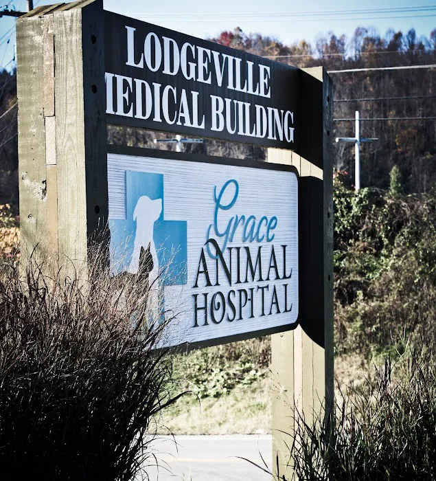 Grace Animal Hospital 1