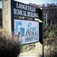Grace Animal Hospital ico