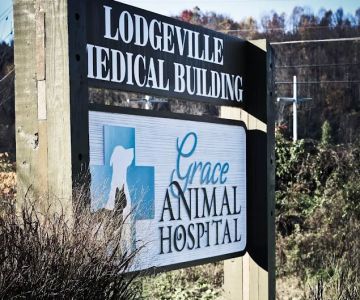 Grace Animal Hospital