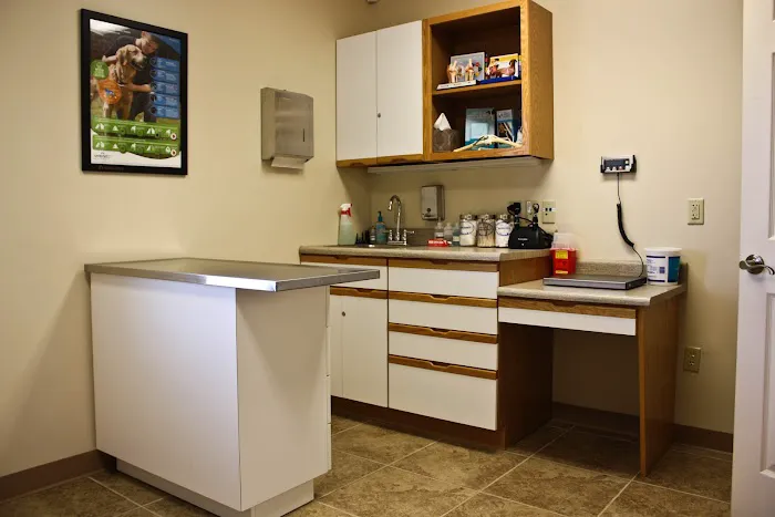 Grace Animal Hospital 2
