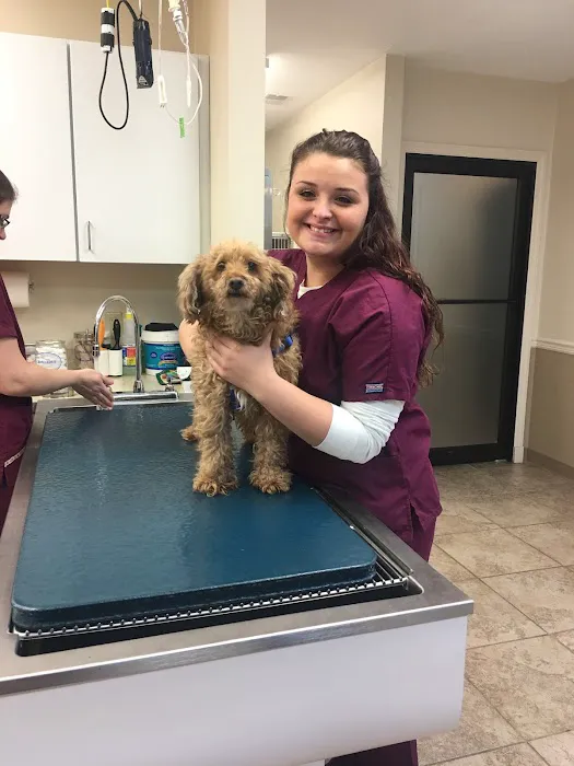 Grace Animal Hospital 10