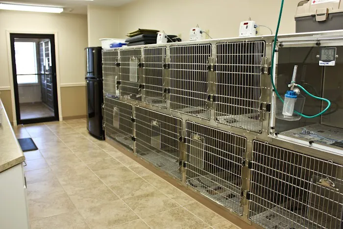 Grace Animal Hospital 6