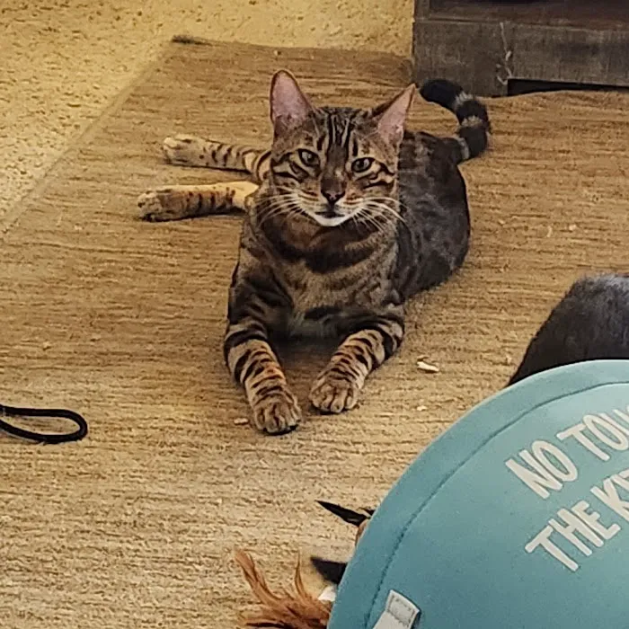 Audubon Animal Clinic 3