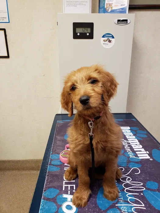 Audubon Animal Clinic 6