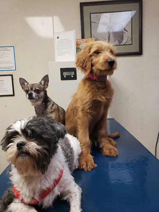 Audubon Animal Clinic 5