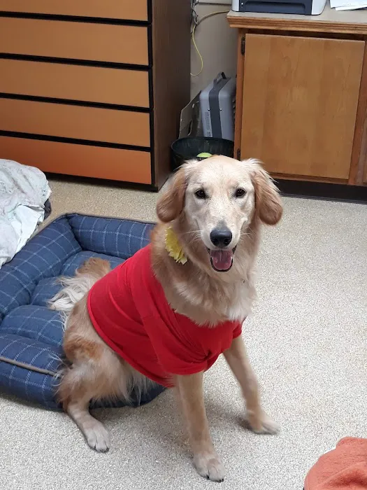 Harrison Central Veterinary Hospital 8