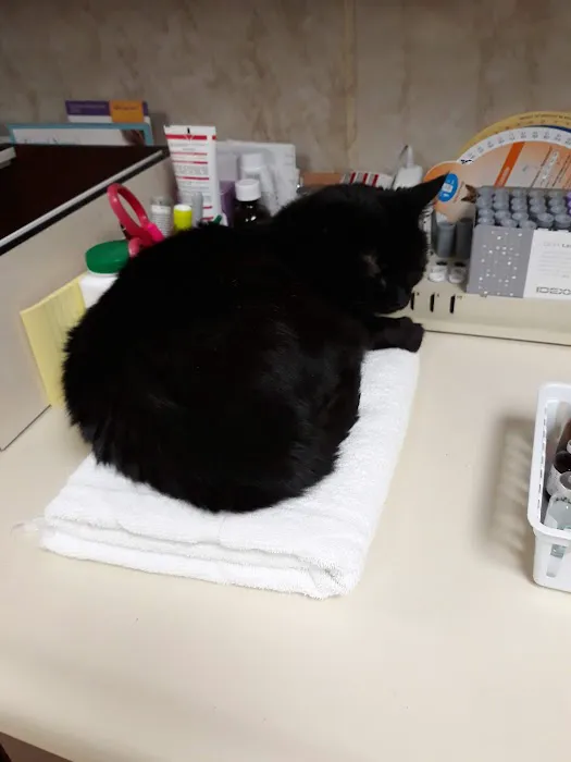 Harrison Central Veterinary Hospital 7
