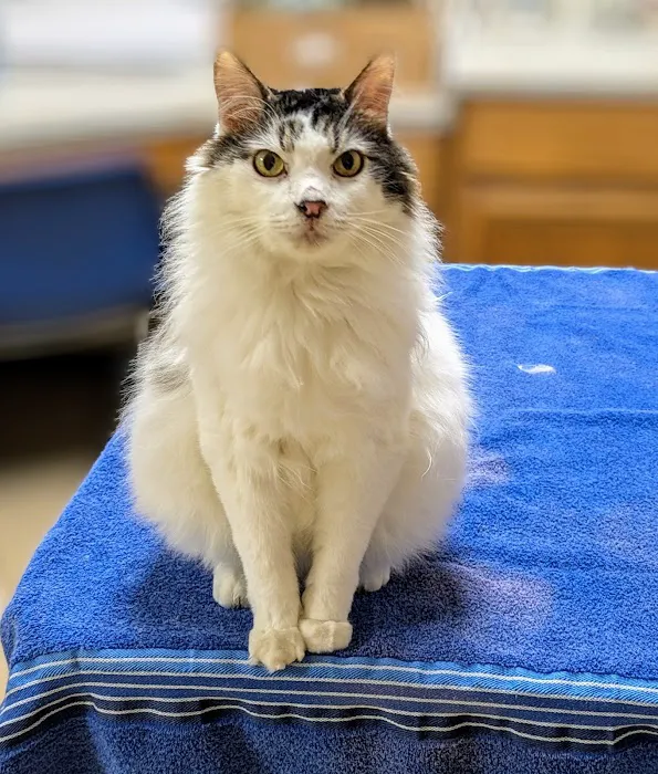 Harrison Central Veterinary Hospital 1