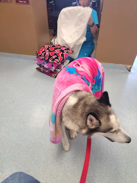 Clarksburg Veterinary Hospital 3