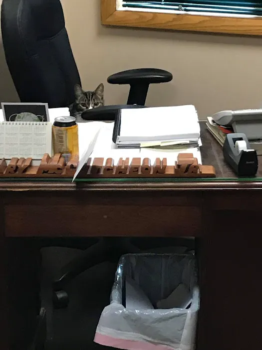 All Pets Animal Clinic 3