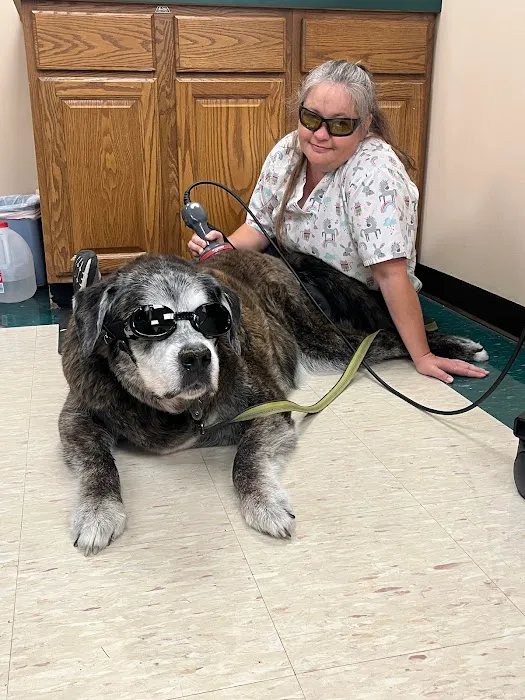 All Pets Animal Clinic 1