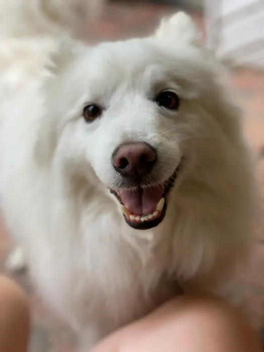 All Pets Animal Clinic 7