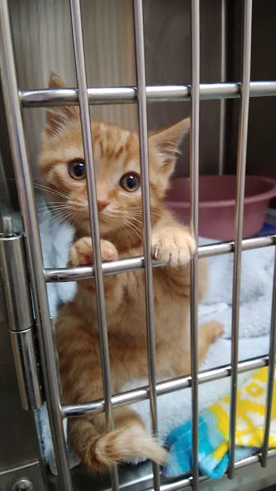 All Pets Animal Clinic 6