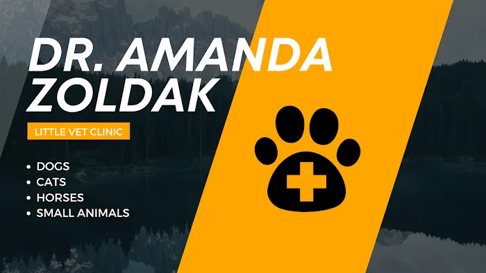 Little Vet Clinic - Dr. Amanda Zoldak 10