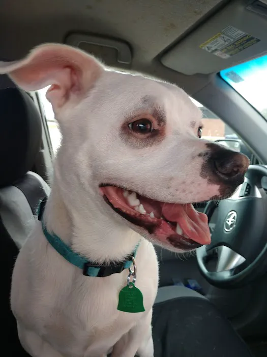 Community Veterinary Hospital LLC 1