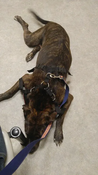 Adamson Veterinary Services 8