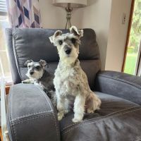 Hartville Vet Clinic ico