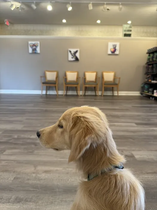 New Leaf Veterinary Clinic 3