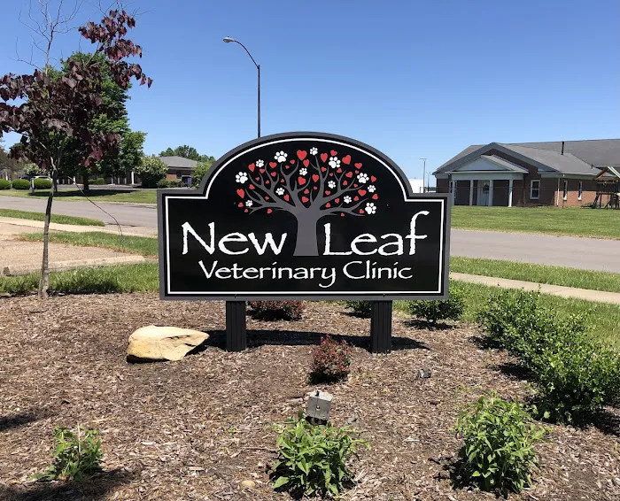 New Leaf Veterinary Clinic 10