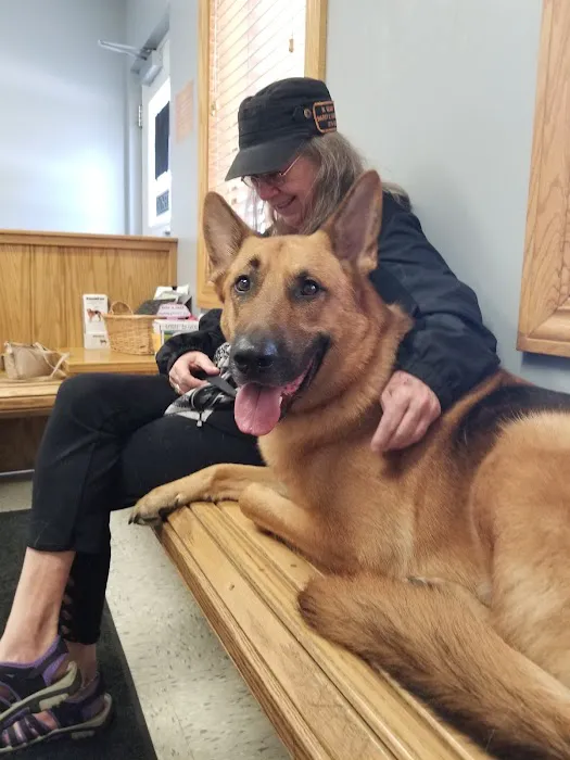 Mogadore Veterinary Hospital 3