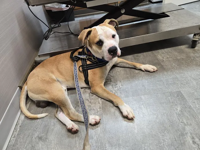 Mogadore Veterinary Hospital 6