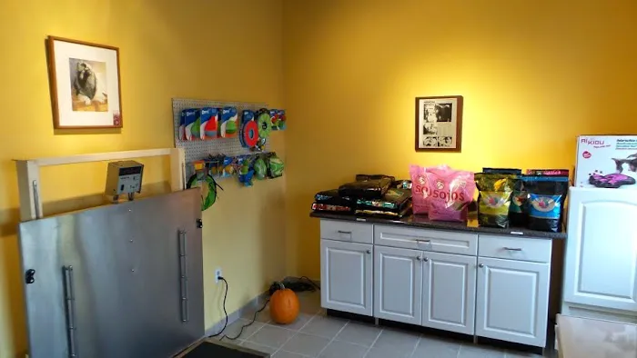 Chagrin Falls Pet Clinic & Veterinary Center 3