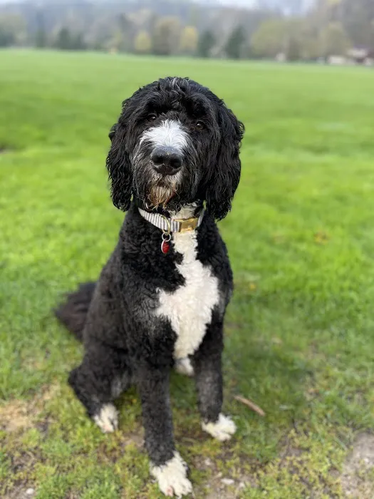 Chagrin Falls Pet Clinic & Veterinary Center 5