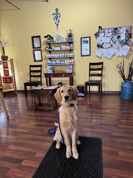 Chagrin Falls Pet Clinic & Veterinary Center 9