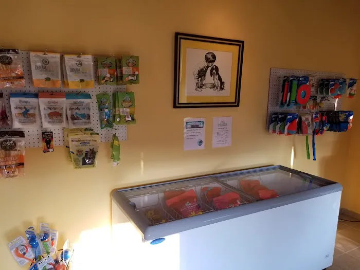 Chagrin Falls Pet Clinic & Veterinary Center 10