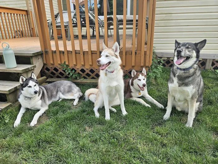 Chagrin Valley Veterinary Clinic 1