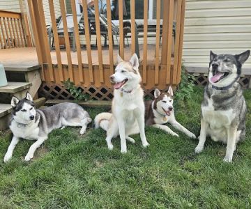 Chagrin Valley Veterinary Clinic