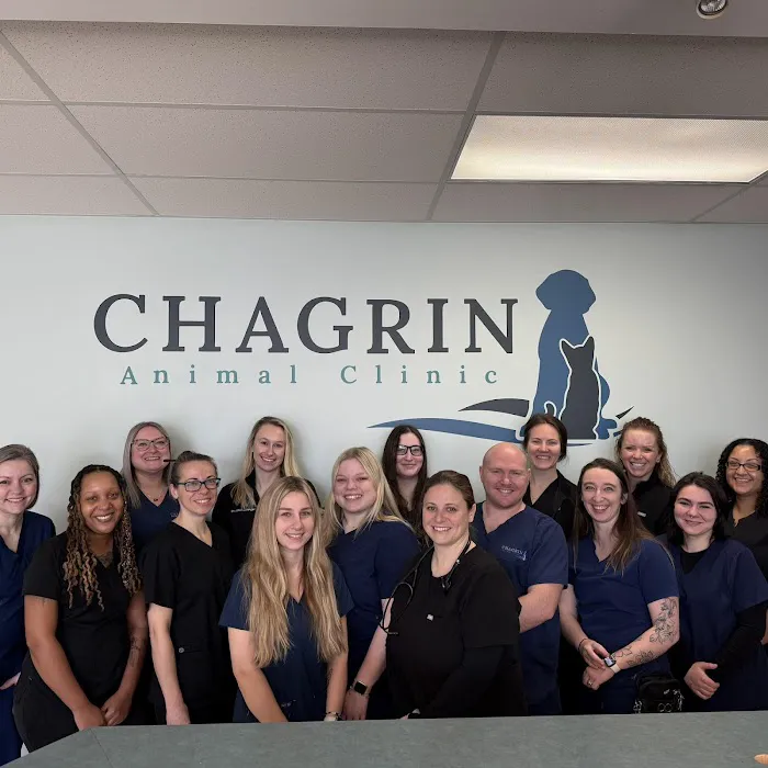 Chagrin Animal Clinic Inc 1