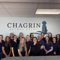 Chagrin Animal Clinic Inc ico